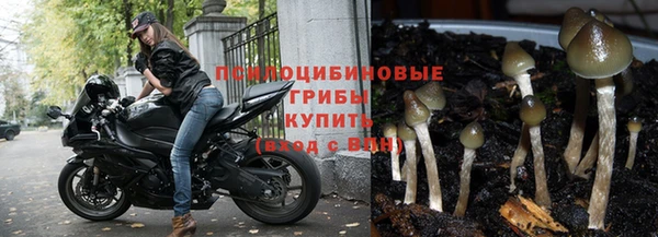 кокаин Богородицк