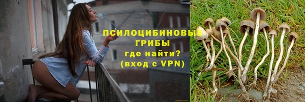 соль ск Богородск