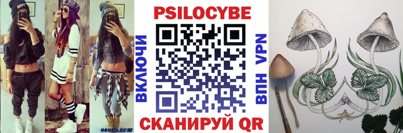 Галлюциногенные грибы Cubensis хочу наркоту Козьмодемьянск